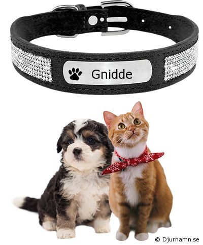Djurhalsband för Gnidde
