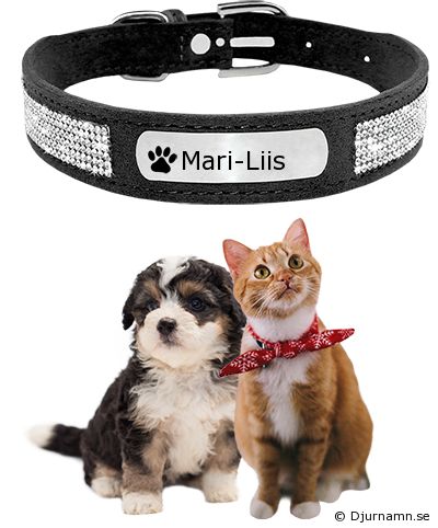 Djurhalsband för Mari-Liis