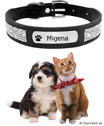 Djurhalsband för Migena