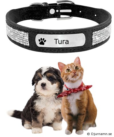 Djurhalsband för Tura
